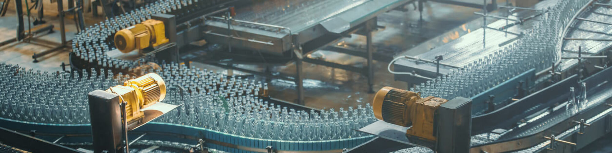 Why NetSuite For Food And Beverage